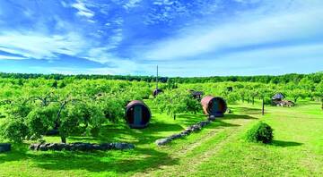 Фотографии Кемпинги Vetsi Talli Holiday Village г. Kassari (Эстония) №1 Фото Кемпинги Vetsi Talli Holiday Village г. Kassari 1